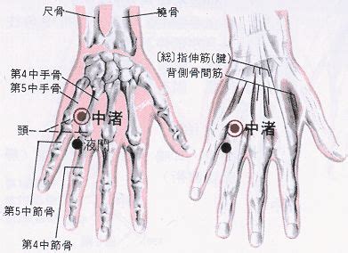 通天穴|醫砭 » 經穴庫 » 通天